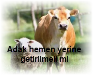 Adak hemen yerine getirilmeli mi 2 Adak hemen yerine getirilmeli mi