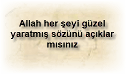 Allah her seyi guzel yaratmis sozunu aciklar misiniz