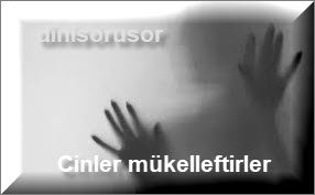 Cinler mukelleftirler