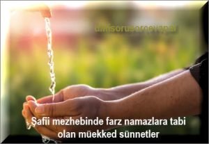 Safii mezhebinde farz namazlara tabi olan muekked sunnetler