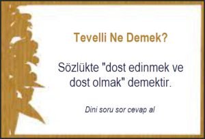 Tevelli Ne Demek