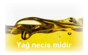 Yag necis midir