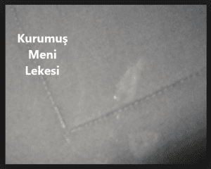 kurumus meni lekesi