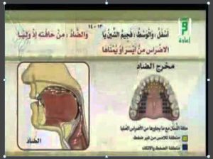 Dat ض harfinin mahreci