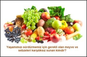 Yasamimizi surdurmemiz icin gerekli olan meyve ve sebzeleri karsiliksiz sunan kimdir