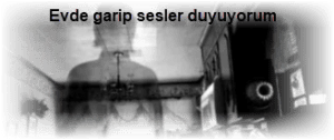 mutlu son masaj hanji x fem reader