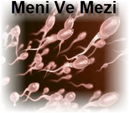 Meni Ve Mezi