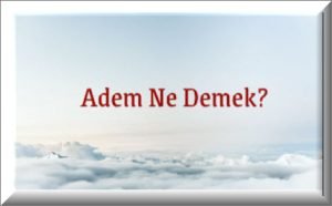 Adem Ne Demek