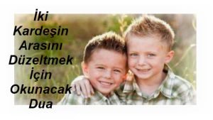 tatvan sinema telefon insan kırkayak full izle