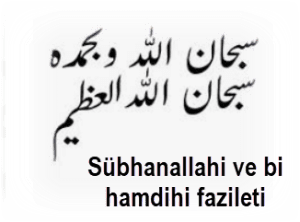 Subhanallahi ve bi hamdihi fazileti