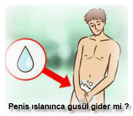 Penis islaninca gusul gider mi