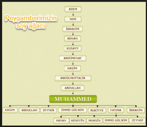 Hz ademden Hz Muhammede soy agaci