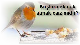 Kuslara ekmek atmak caiz midir
